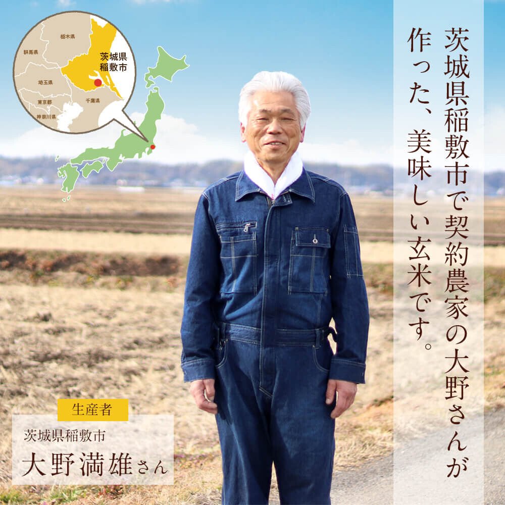 3パック 寝かせ玄米ごはんパック 十五穀ブレンド