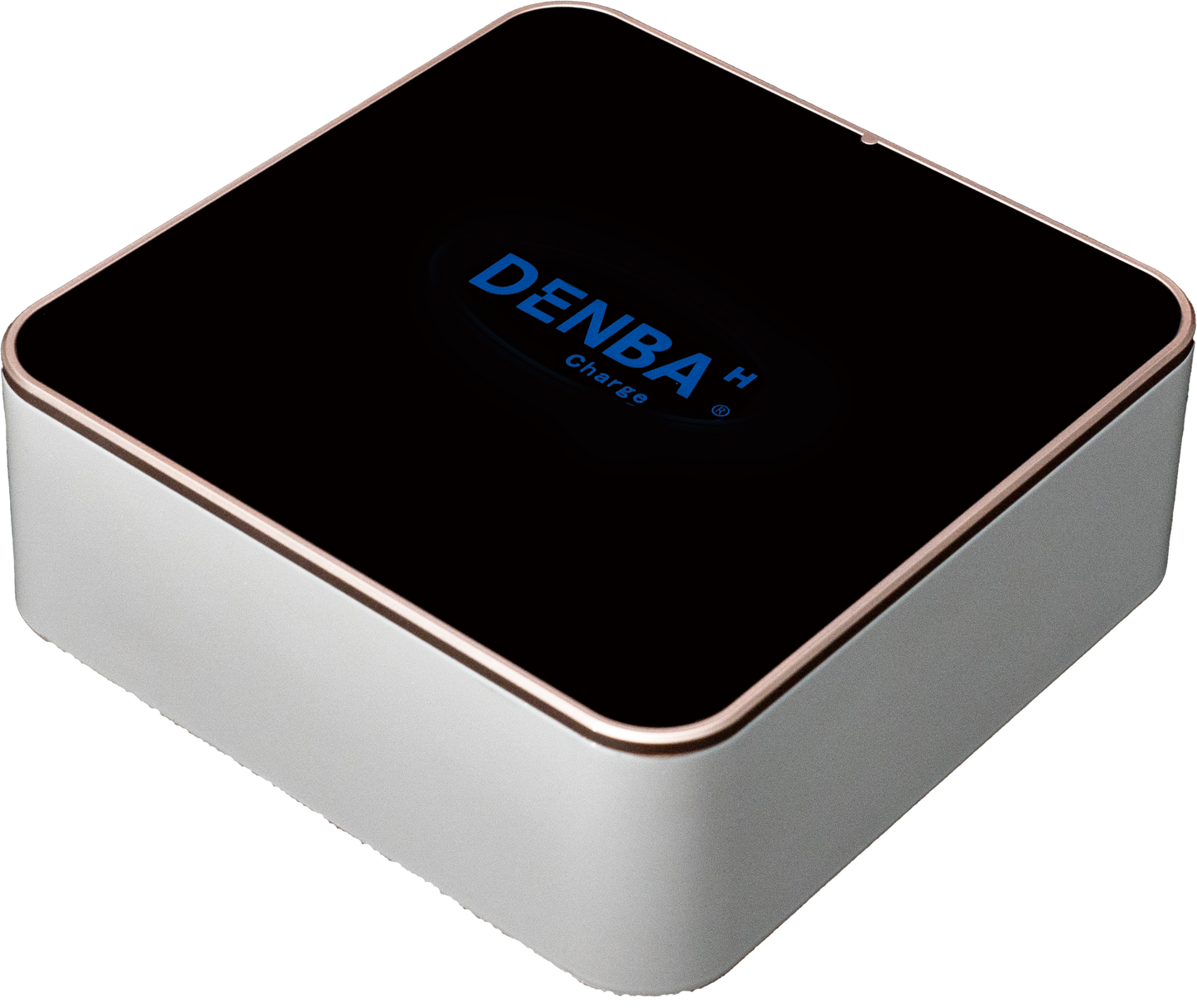 DENBA ヘルス チャージ（1名様ご使用対応）