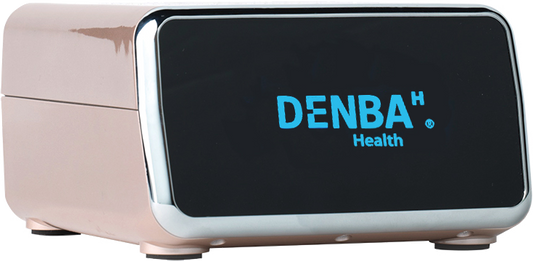 DENBA スタンダード （2名様ご使用対応）